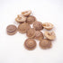 Round Spiral Shells - Sundial Shells
